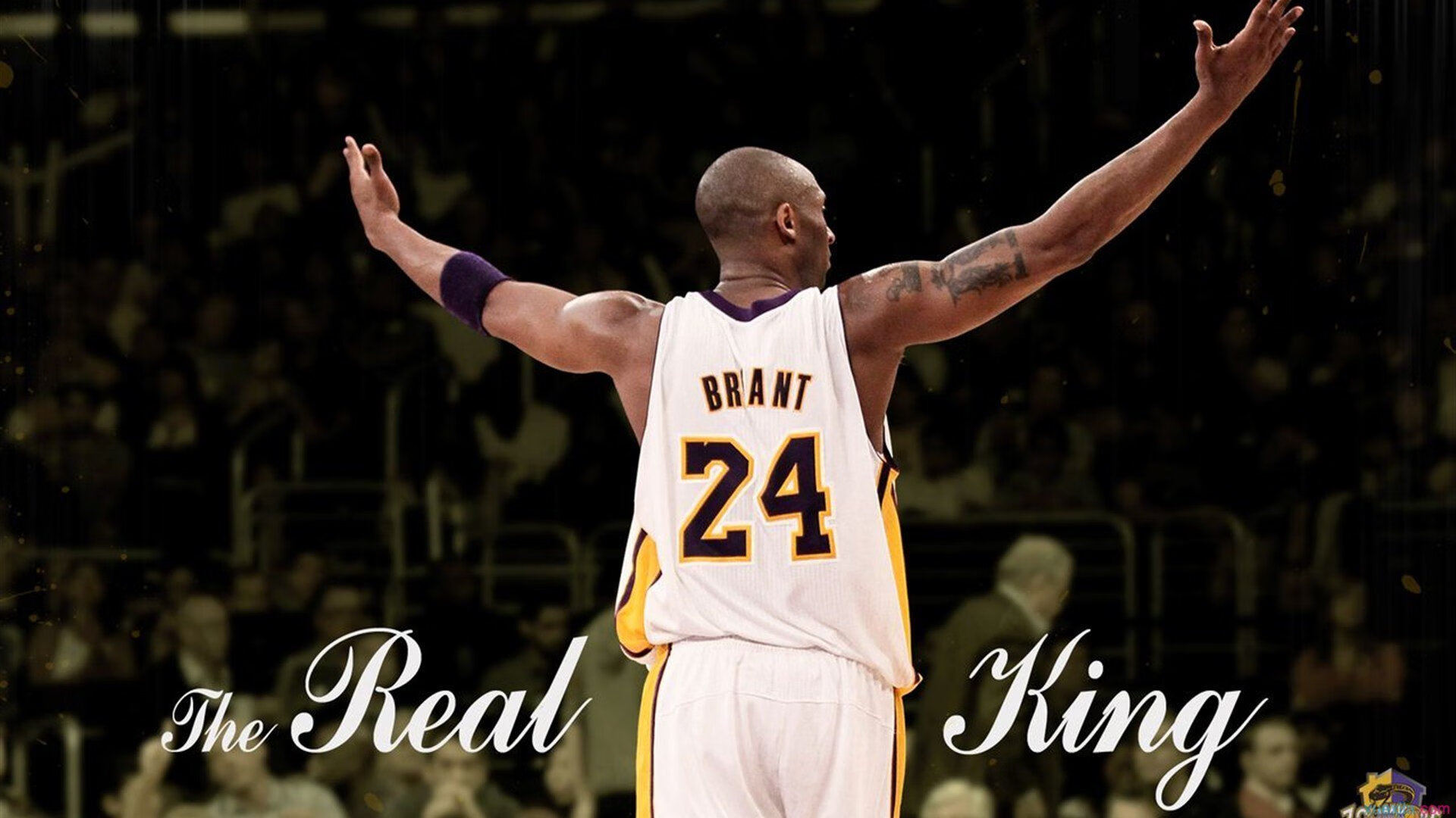 奥恰洛夫横扫传奇，奥地利风暴席卷韩国军团