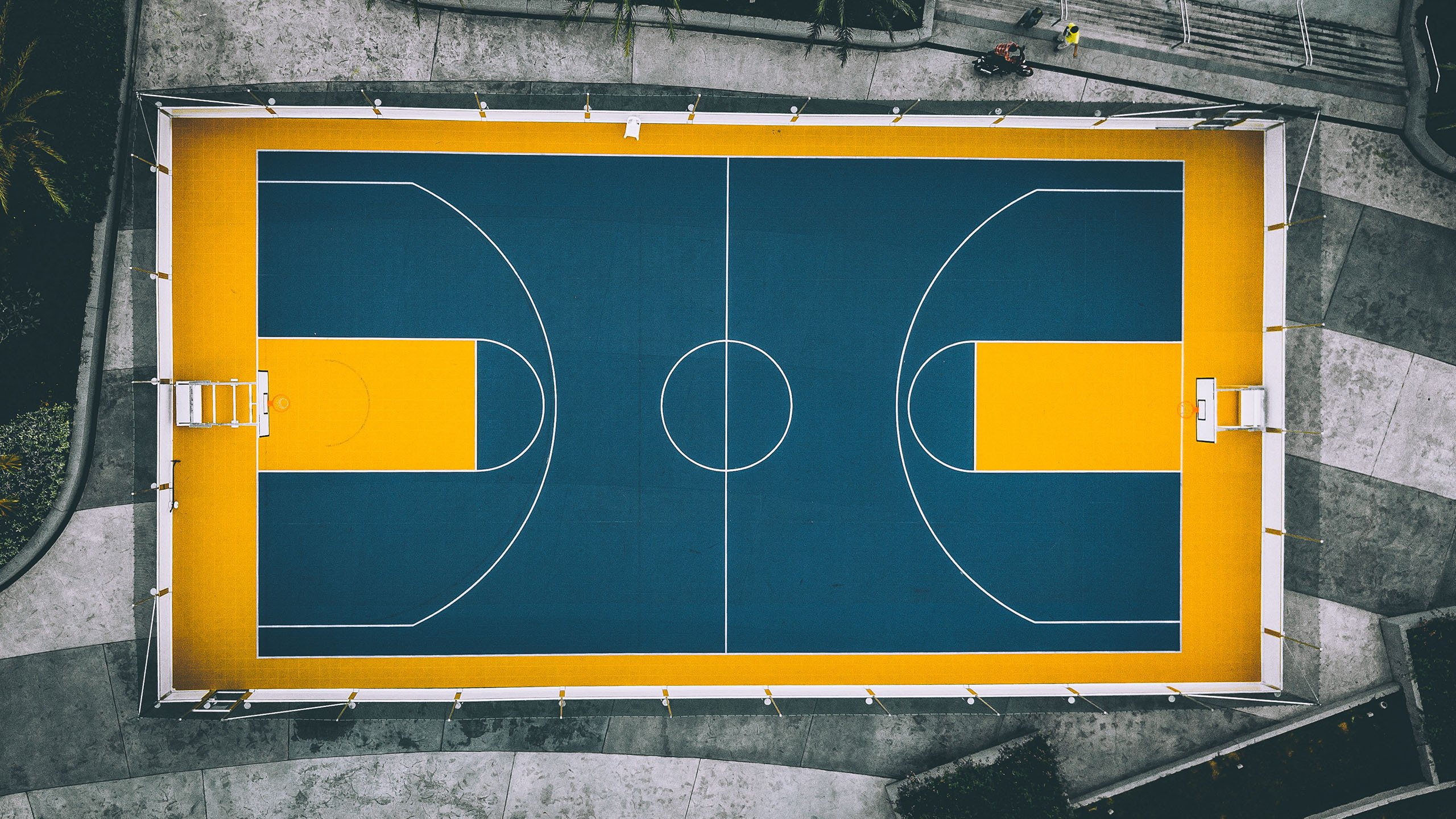 以下为您创作的标题和文章